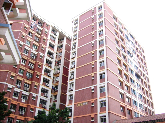 Blk 491A Tampines Avenue 9 (Tampines), HDB 5 Rooms #84842
